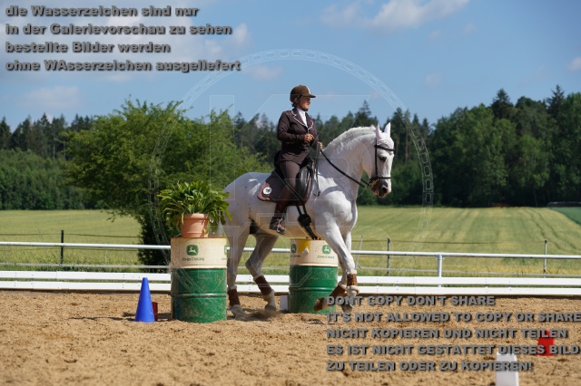 s_K3F05728.JPG